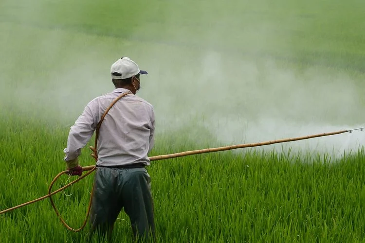 STRATEGI PENGEMBANGAN BUDIDAYA TUMBUHAN OBAT DALAM MENUNJANG PERTANIAN BERKELANJUTAN